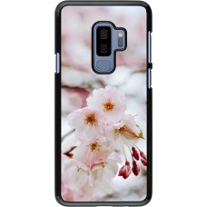 Coque Samsung Galaxy S9+ - Cherry tree 2026
