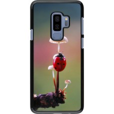 Coque Samsung Galaxy S9+ - Ladybird on a mushroom 2026