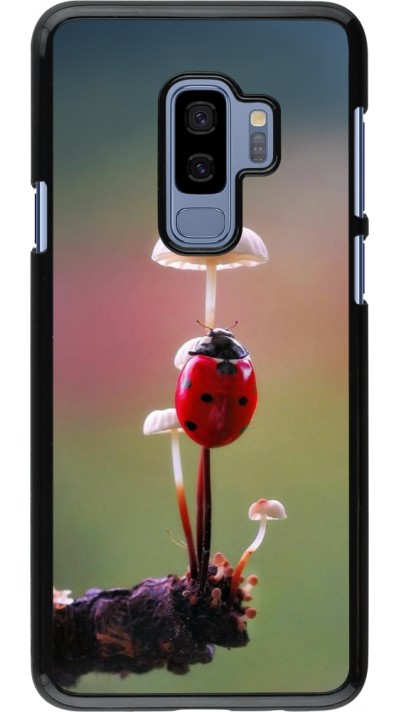Coque Samsung Galaxy S9+ - Ladybird on a mushroom 2026