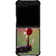Samsung Galaxy Z Flip5 Case Hülle - Silikon schwarz Ladybird on a mushroom Spring 2026