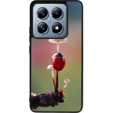 Coque Xiaomi 14T Pro - Silicone rigide noir Ladybird on a mushroom Spring 2026