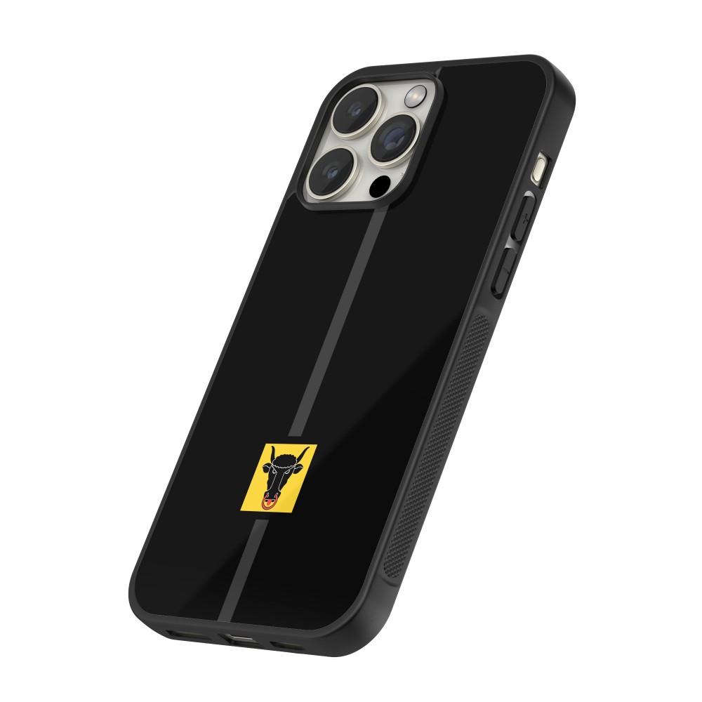iPhone 14 Pro Case Hülle - Silikon schwarz Kanton UR schwarz