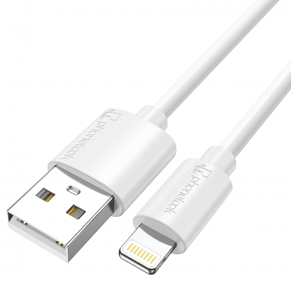 Câble Lightning iPhone USB (3 m) - PhoneLook - Blanc