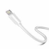 Câble Lightning iPhone USB (3 m) - PhoneLook - Blanc