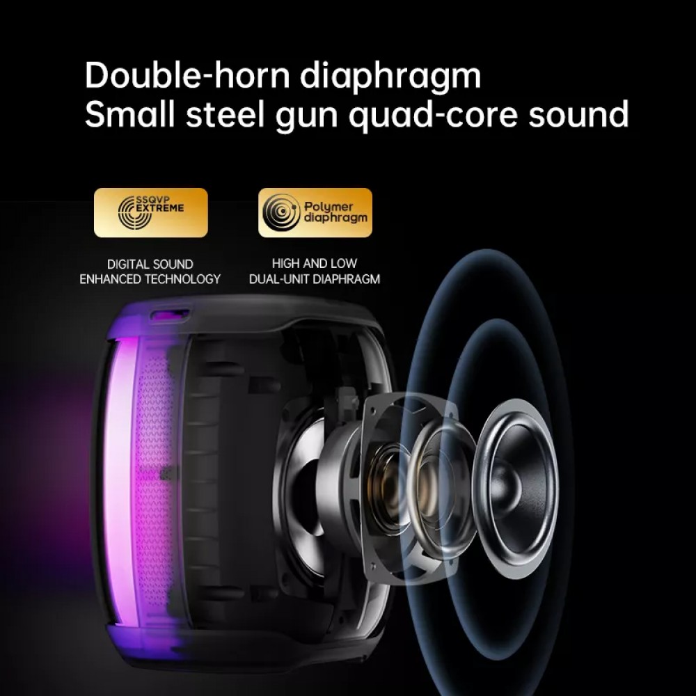 Enceintes Bluetooth LED lumineuses portable sans fil puissant Sanag V12S Pro avec dos en plastique fumé transparent - Noir