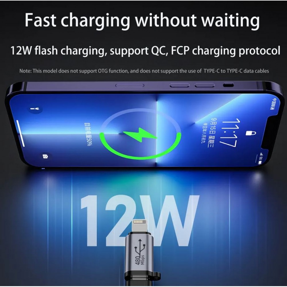 Lightning vers Micro USB - Adaptateur de charge de haute qualité Connecteur Transfert de données 480Mbps Aluminium