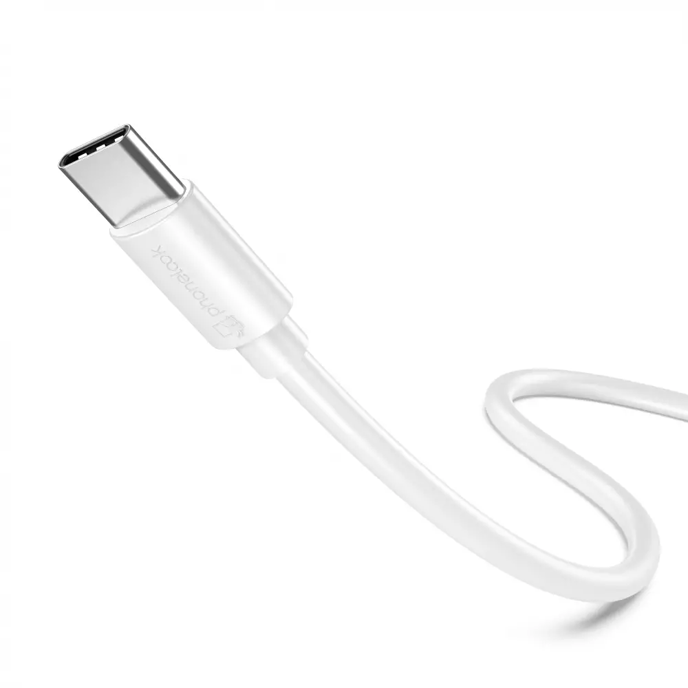 Mini câble chargeur USB-C vers USB-C (50 cm) - PhoneLook - Blanc