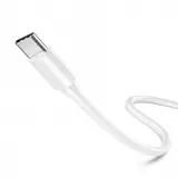 Mini câble chargeur USB-C vers USB-C (50 cm) - PhoneLook - Blanc