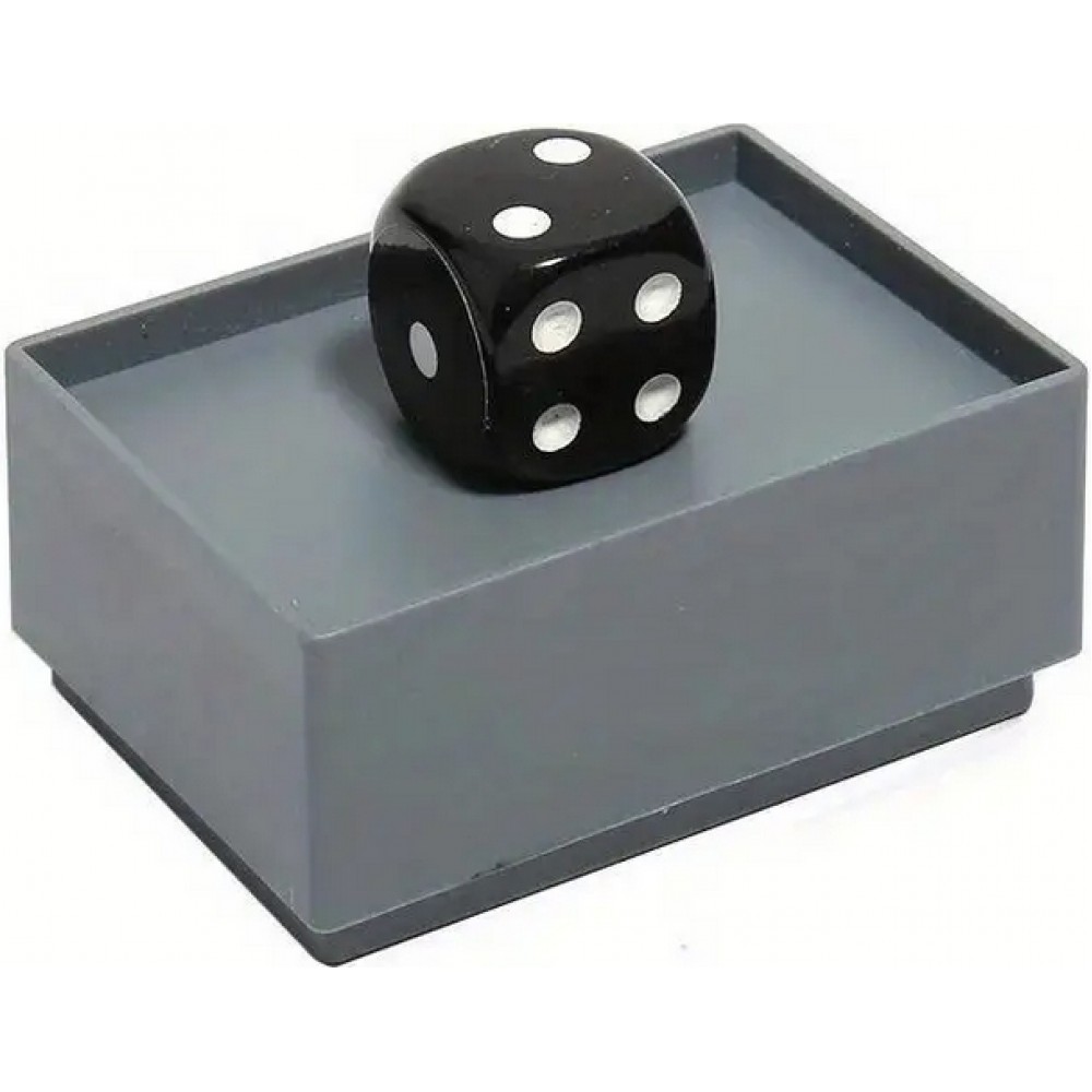 Petit set de dés magiques amusant pour petits magiciens - amusement garanti + cadeau idéale