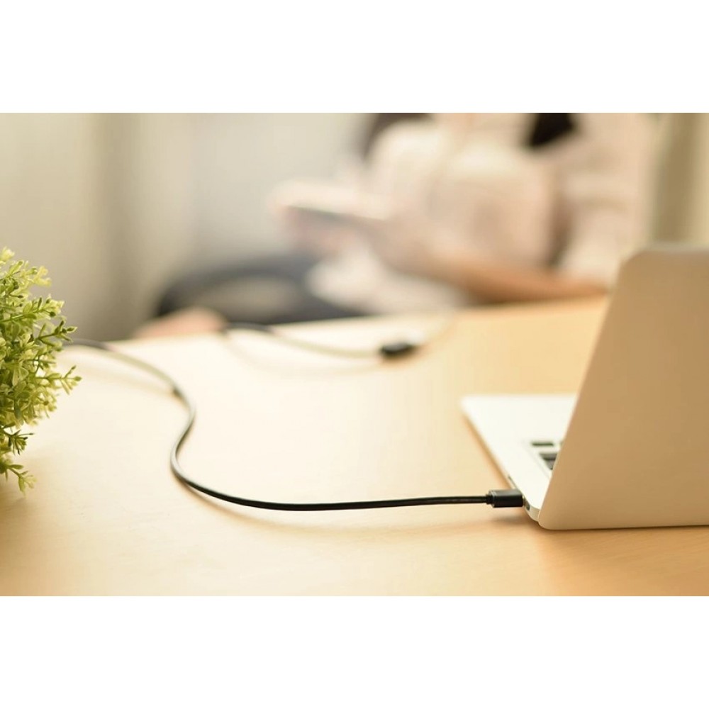 Rallonge c&acirc;ble USB-A femelle vers USB-A m&acirc;le (2 m) Ugreen - Noir