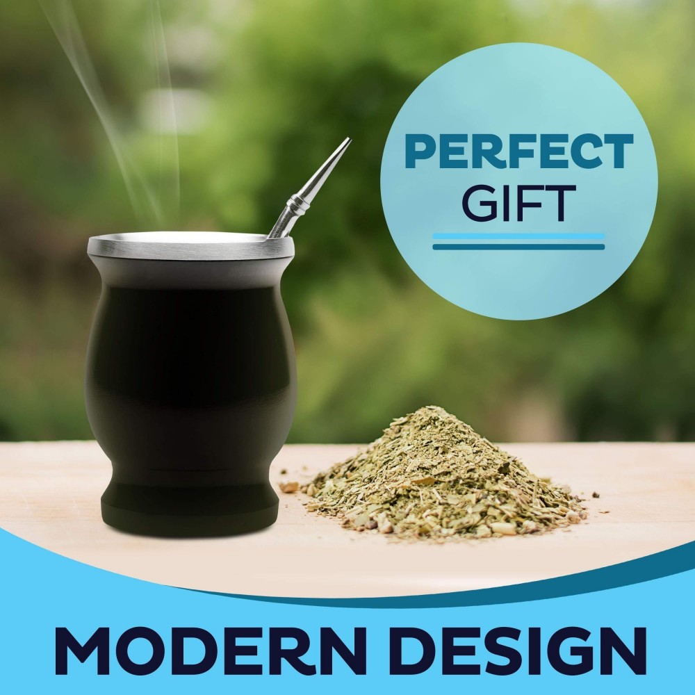 Tasse à Yerba Maté en Acier Inoxydable avec Bombilla et Brosse (250 ml) - Noir