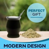 Tasse à Yerba Maté en Acier Inoxydable avec Bombilla et Brosse (250 ml) - Noir