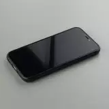 iPhone 11 Case Hülle - Silikon schwarz Kunstbild - Die Erschaffung Adams - Michelangelo