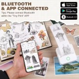 X6 Mini imprimante portable thermique Bluetooth sans encre avec papier et autocollants - Rose